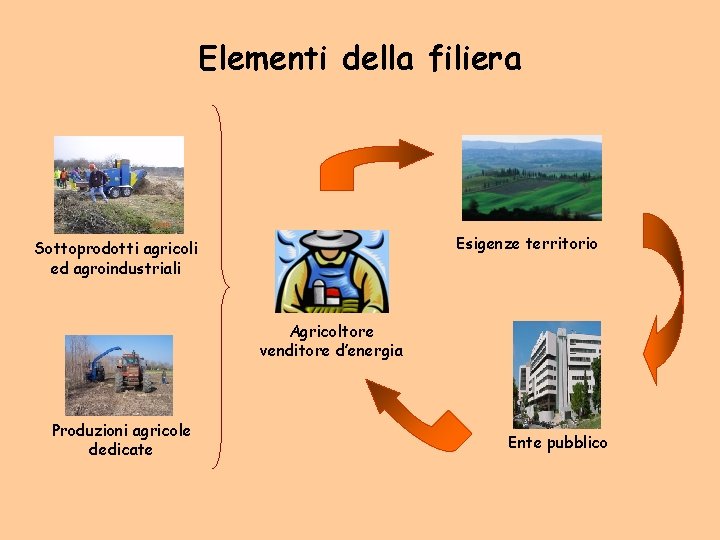 Elementi della filiera Esigenze territorio Sottoprodotti agricoli ed agroindustriali Agricoltore venditore d’energia Produzioni agricole
