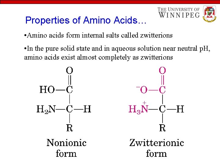 Properties of Amino Acids… • Amino acids form internal salts called zwitterions • In