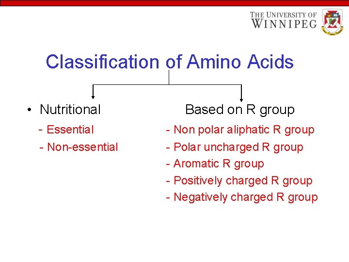 Classification of Amino Acids • Nutritional - Essential - Non-essential Based on R group