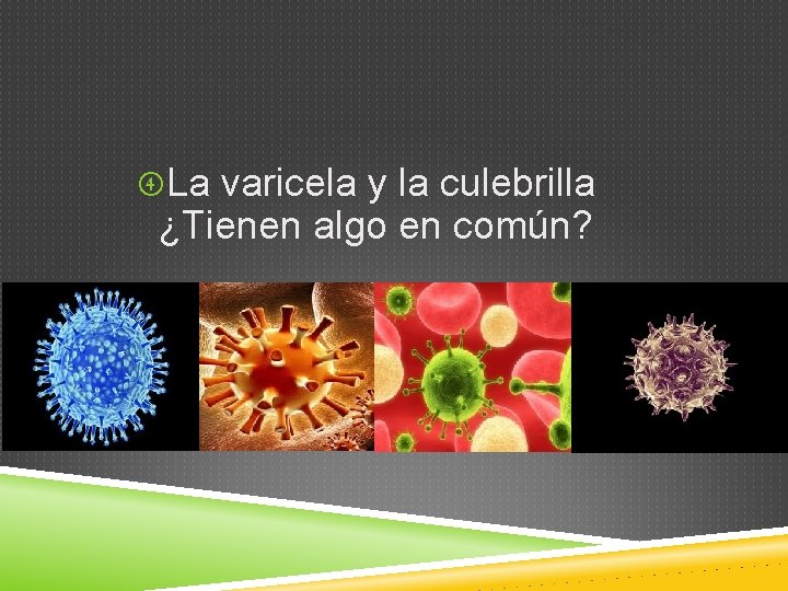  La varicela y la culebrilla ¿Tienen algo en común? 