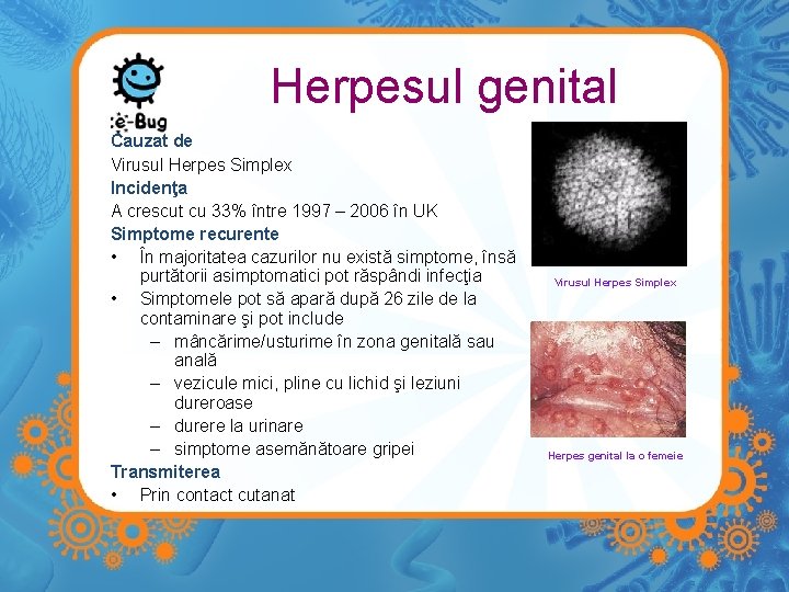 herpesul genital pierdere în greutate)