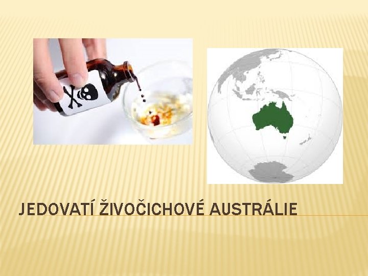 JEDOVATÍ ŽIVOČICHOVÉ AUSTRÁLIE 