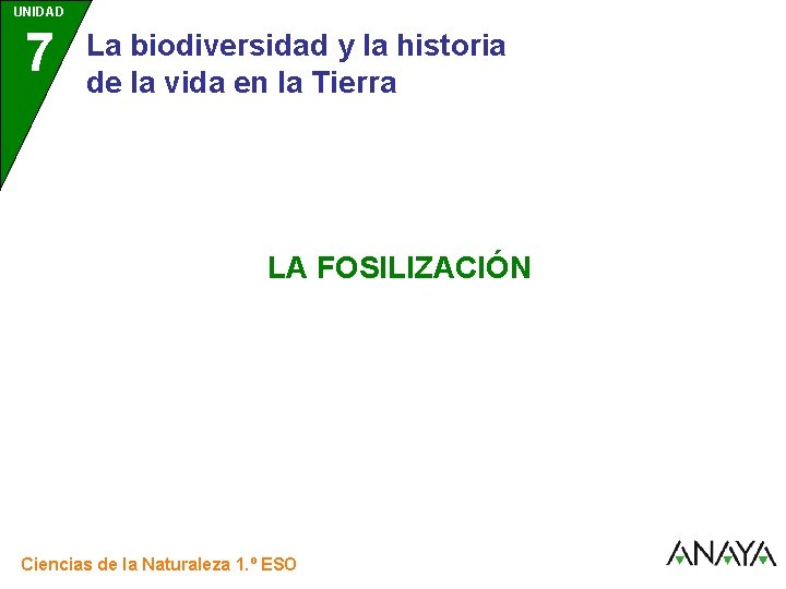 UNIDAD 7 La biodiversidad y la historia de la vida en la Tierra LA