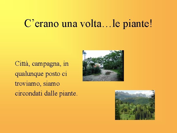 C’erano una volta…le piante! Città, campagna, in qualunque posto ci troviamo, siamo circondati dalle