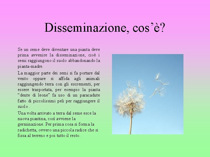 Disseminazione, cos’è? Se un seme deve diventare una pianta deve prima avvenire la disseminazione,