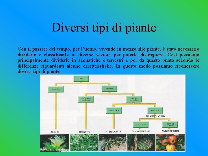 Diversi tipi di piante Con il passare del tempo, per l’uomo, vivendo in mezzo