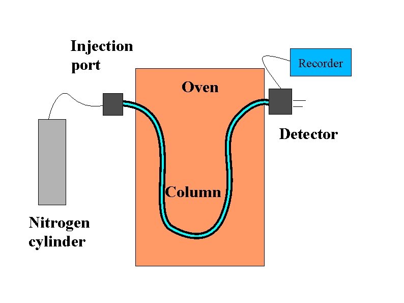 Injection port Recorder Oven Detector Column Nitrogen cylinder 