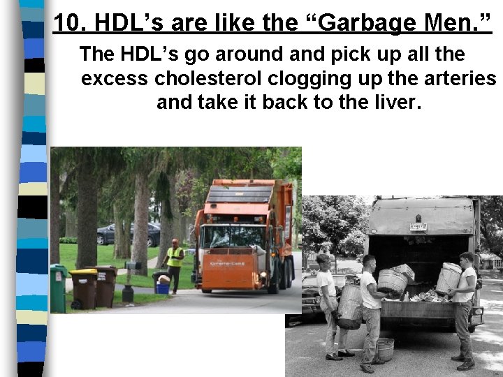 10. HDL’s are like the “Garbage Men. ” The HDL’s go around and pick