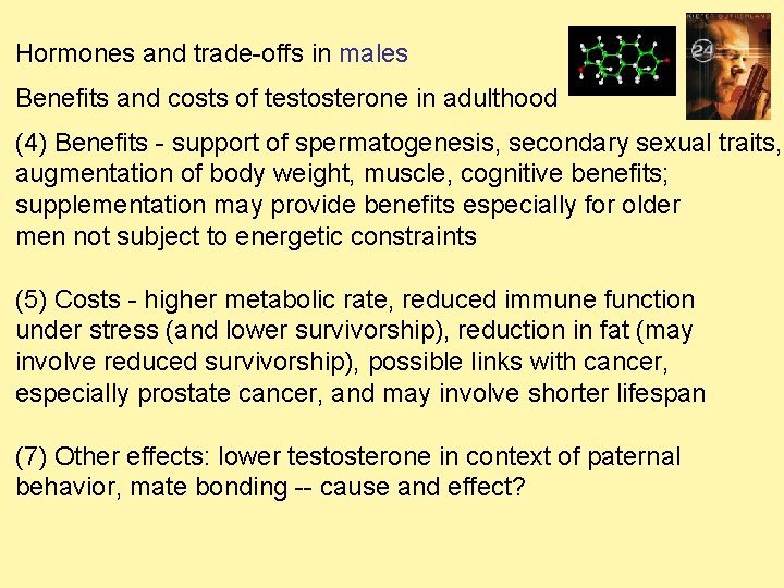 Hormones and trade-offs in males Benefits and costs of testosterone in adulthood (4) Benefits