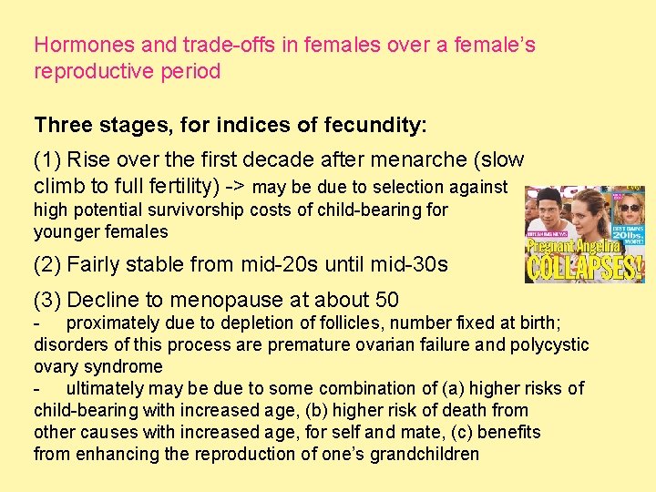 Hormones and trade-offs in females over a female’s reproductive period Three stages, for indices