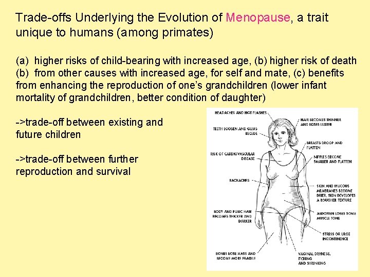 Trade-offs Underlying the Evolution of Menopause, a trait unique to humans (among primates) (a)