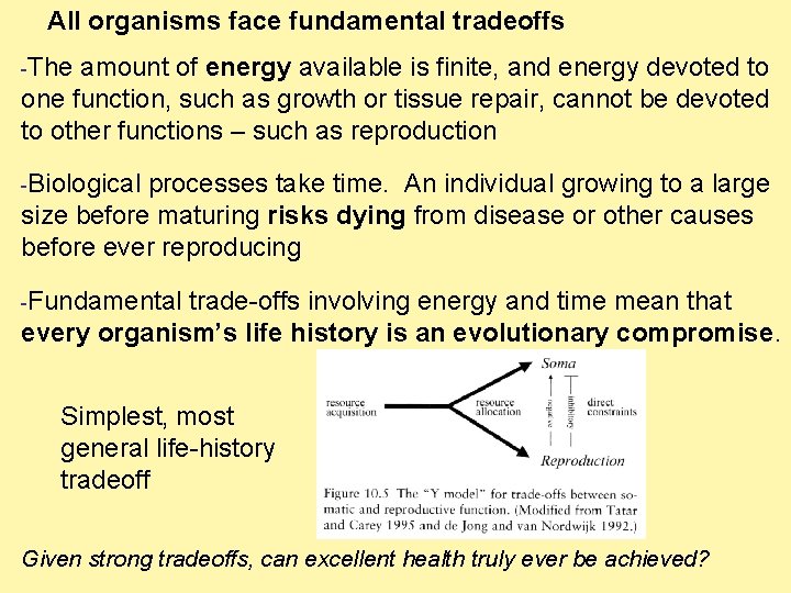 All organisms face fundamental tradeoffs -The amount of energy available is finite, and energy