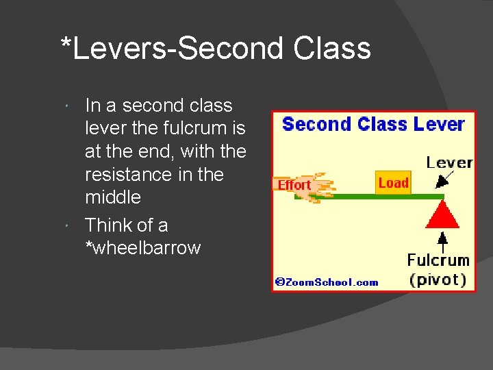 *Levers-Second Class In a second class lever the fulcrum is at the end, with