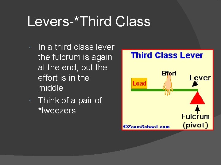 Levers-*Third Class In a third class lever the fulcrum is again at the end,