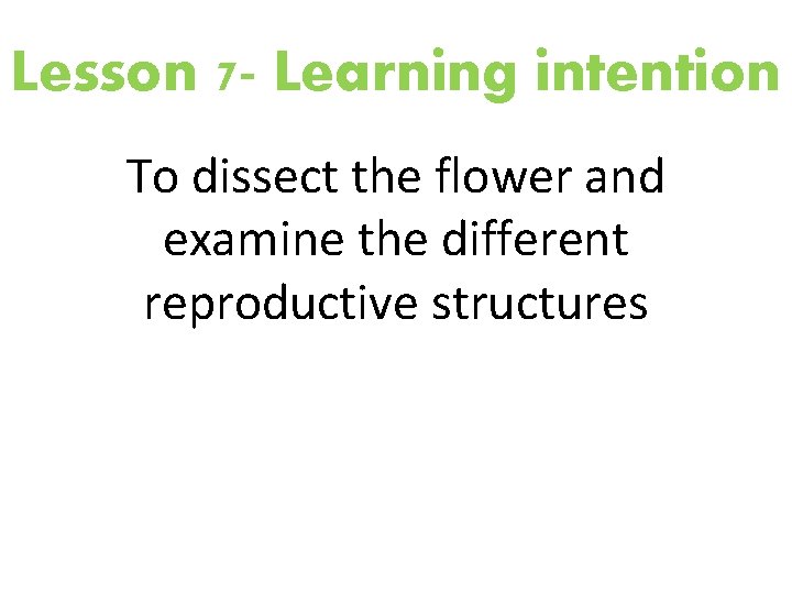 Lesson 7 - Learning intention To dissect the flower and examine the different reproductive