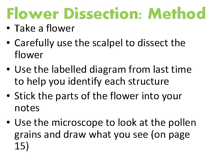 Flower Dissection: Method • Take a flower • Carefully use the scalpel to dissect