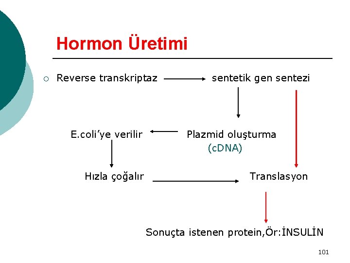 Hormon Üretimi ¡ Reverse transkriptaz E. coli’ye verilir Hızla çoğalır sentetik gen sentezi Plazmid