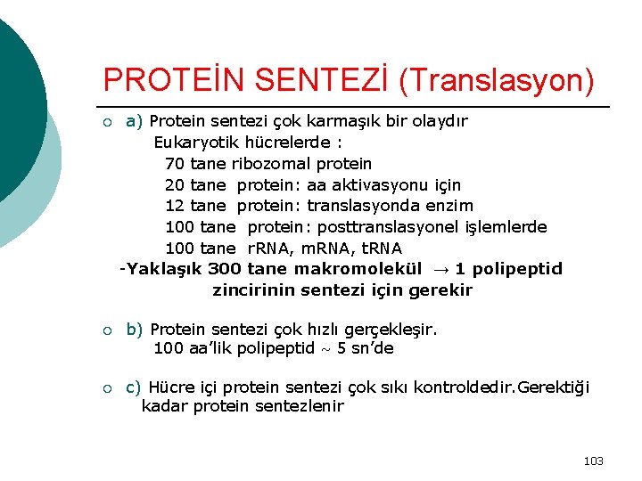 PROTEİN SENTEZİ (Translasyon) ¡ a) Protein sentezi çok karmaşık bir olaydır Eukaryotik hücrelerde :