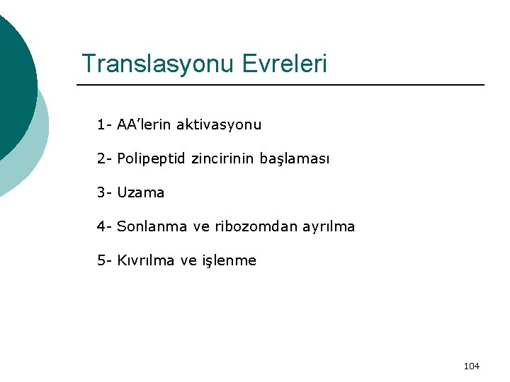 Translasyonu Evreleri 1 - AA’lerin aktivasyonu 2 - Polipeptid zincirinin başlaması 3 - Uzama