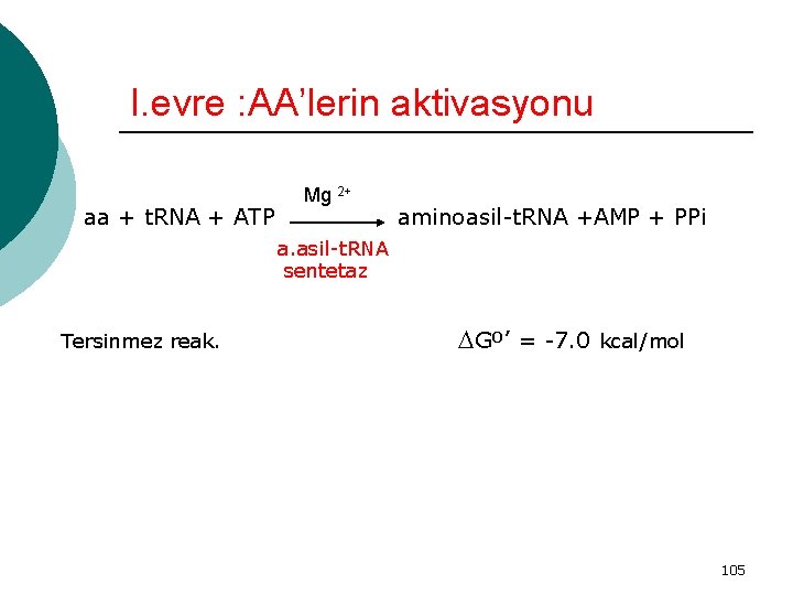 I. evre : AA’lerin aktivasyonu aa + t. RNA + ATP Mg 2+ aminoasil-t.