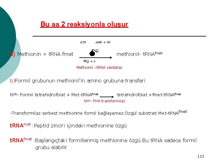 Bu aa 2 reaksiyonla oluşur ATP a) Methionin + t. RNA fmet AMP +