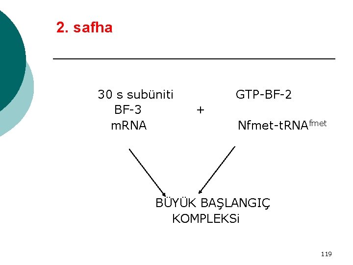 2. safha 30 s subüniti BF-3 m. RNA GTP-BF-2 + Nfmet-t. RNAfmet BÜYÜK BAŞLANGIÇ