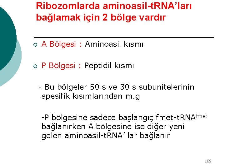 Ribozomlarda aminoasil-t. RNA’ları bağlamak için 2 bölge vardır ¡ A Bölgesi : Aminoasil kısmı
