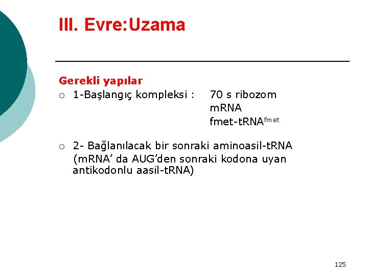 III. Evre: Uzama Gerekli yapılar ¡ 1 -Başlangıç kompleksi : ¡ 70 s ribozom