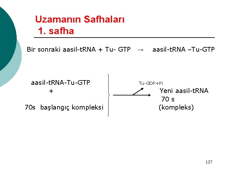 Uzamanın Safhaları 1. safha Bir sonraki aasil-t. RNA + Tu- GTP aasil-t. RNA-Tu-GTP +
