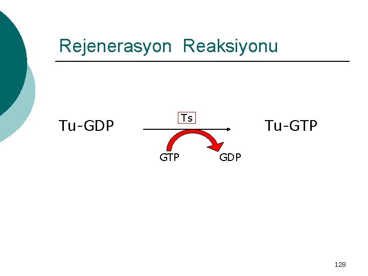 Rejenerasyon Reaksiyonu Ts Tu-GDP GTP Tu-GTP GDP 128 
