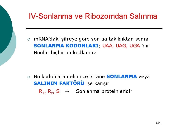 IV-Sonlanma ve Ribozomdan Salınma ¡ m. RNA’daki şifreye göre son aa takıldıktan sonra SONLANMA
