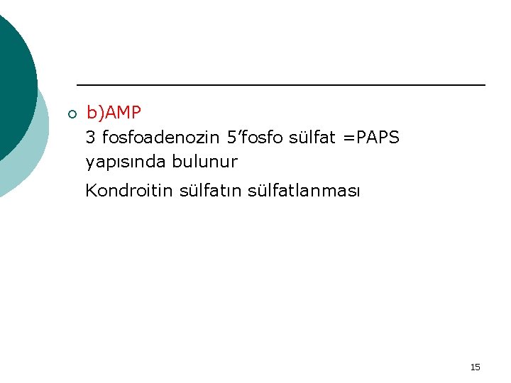 ¡ b)AMP 3 fosfoadenozin 5’fosfo sülfat =PAPS yapısında bulunur Kondroitin sülfatın sülfatlanması 15 