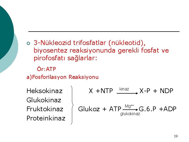 ¡ 3 -Nükleozid trifosfatlar (nükleotid), biyosentez reaksiyonunda gerekli fosfat ve pirofosfatı sağlarlar: Ör: ATP