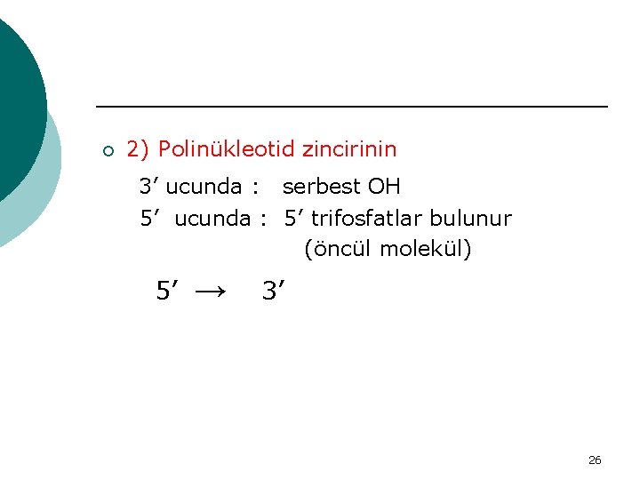¡ 2) Polinükleotid zincirinin 3’ ucunda : serbest OH 5’ ucunda : 5’ trifosfatlar