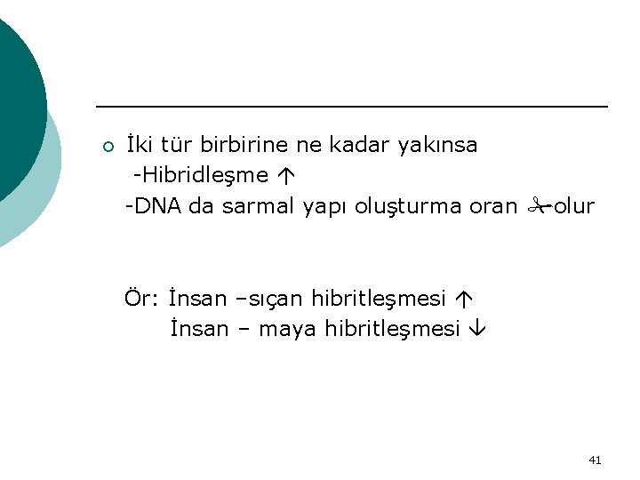 ¡ İki tür birbirine ne kadar yakınsa -Hibridleşme -DNA da sarmal yapı oluşturma oran