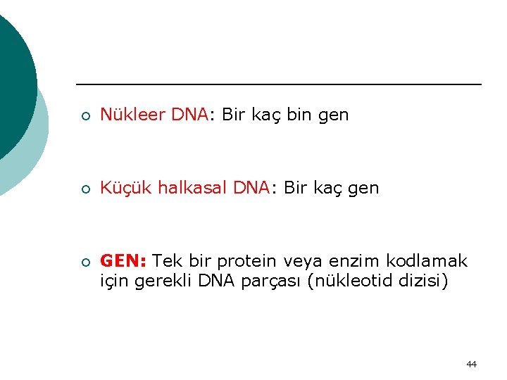¡ Nükleer DNA: Bir kaç bin gen ¡ Küçük halkasal DNA: Bir kaç gen