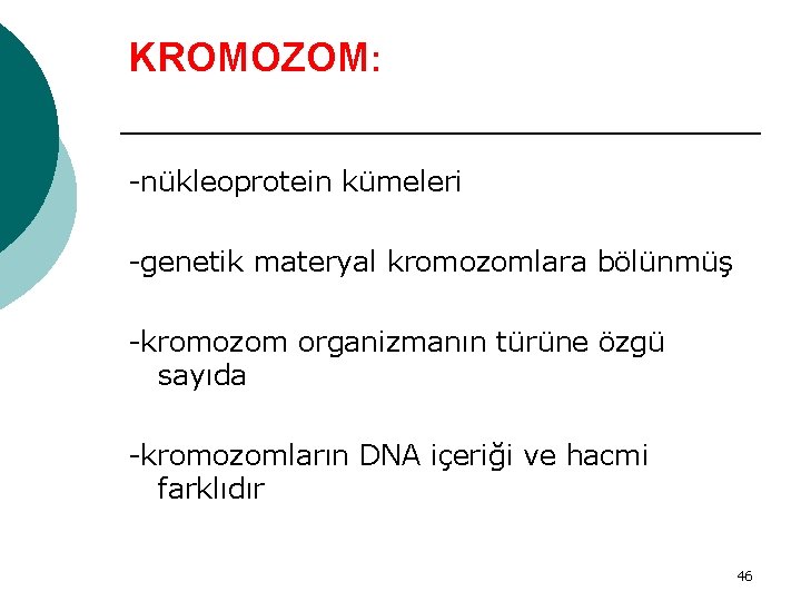 KROMOZOM: -nükleoprotein kümeleri -genetik materyal kromozomlara bölünmüş -kromozom organizmanın türüne özgü sayıda -kromozomların DNA