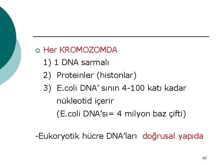 ¡ Her KROMOZOMDA 1) 1 DNA sarmalı 2) Proteinler (histonlar) 3) E. coli DNA’