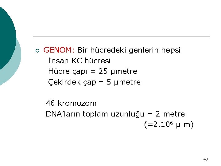 ¡ GENOM: Bir hücredeki genlerin hepsi İnsan KC hücresi Hücre çapı = 25 μmetre