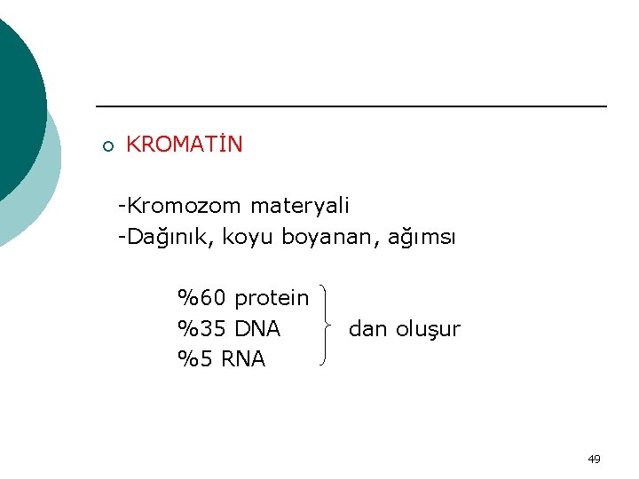 ¡ KROMATİN -Kromozom materyali -Dağınık, koyu boyanan, ağımsı %60 protein %35 DNA %5 RNA