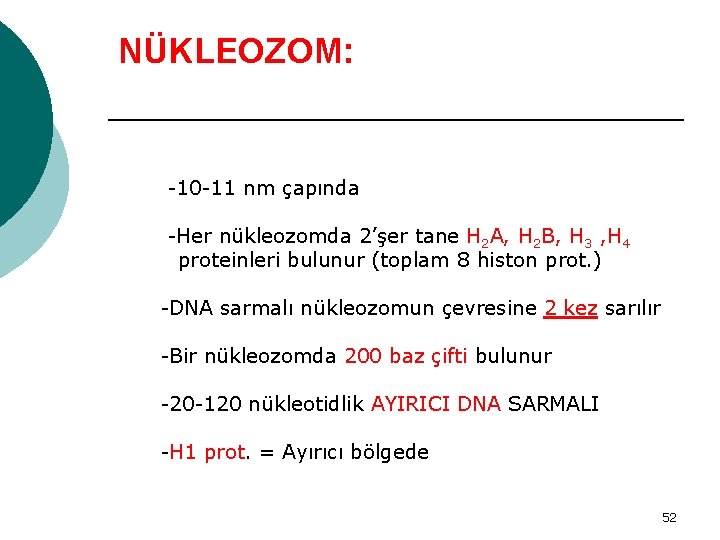 NÜKLEOZOM: -10 -11 nm çapında -Her nükleozomda 2’şer tane H 2 A, H 2