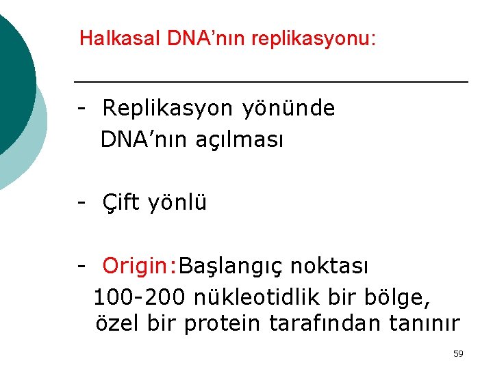 Halkasal DNA’nın replikasyonu: - Replikasyon yönünde DNA’nın açılması - Çift yönlü - Origin: Başlangıç