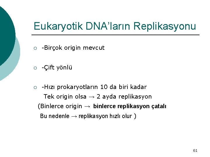 Eukaryotik DNA’ların Replikasyonu ¡ -Birçok origin mevcut ¡ -Çift yönlü ¡ -Hızı prokaryotların 10