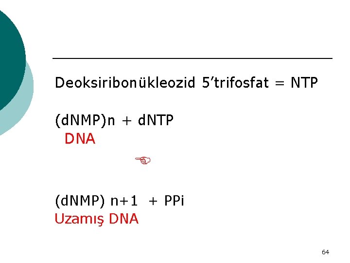 Deoksiribonükleozid 5’trifosfat = NTP (d. NMP)n + d. NTP DNA (d. NMP) n+1 +