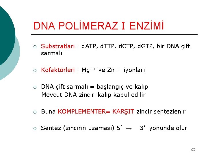 DNA POLİMERAZ I ENZİMİ ¡ Substratları : d. ATP, d. TTP, d. CTP, d.