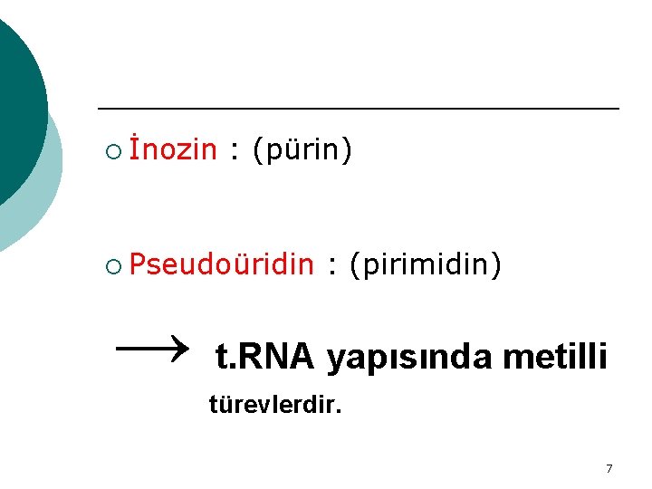 ¡ İnozin : (pürin) ¡ Pseudoüridin : (pirimidin) → t. RNA yapısında metilli türevlerdir.