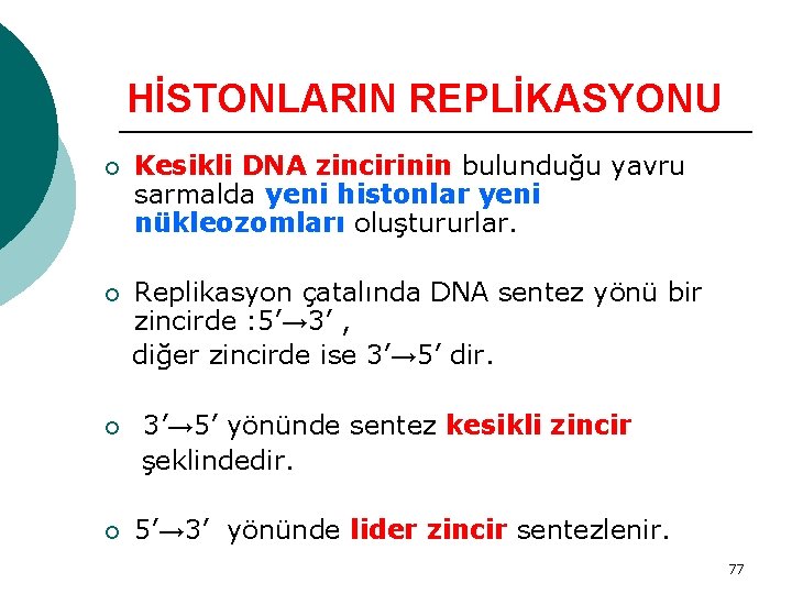 HİSTONLARIN REPLİKASYONU ¡ Kesikli DNA zincirinin bulunduğu yavru sarmalda yeni histonlar yeni nükleozomları oluştururlar.