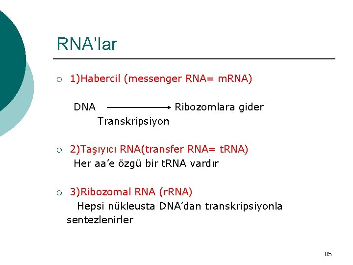 RNA’lar ¡ 1)Habercil (messenger RNA= m. RNA) DNA Ribozomlara gider Transkripsiyon ¡ ¡ 2)Taşıyıcı