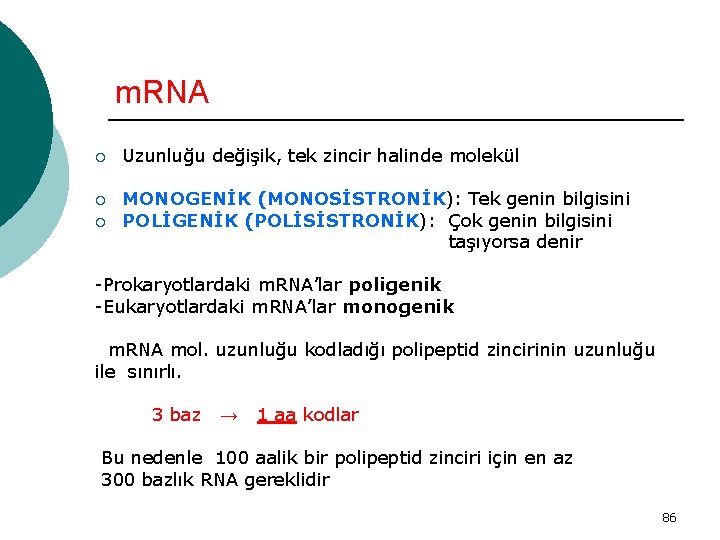 m. RNA ¡ Uzunluğu değişik, tek zincir halinde molekül ¡ MONOGENİK (MONOSİSTRONİK): Tek genin