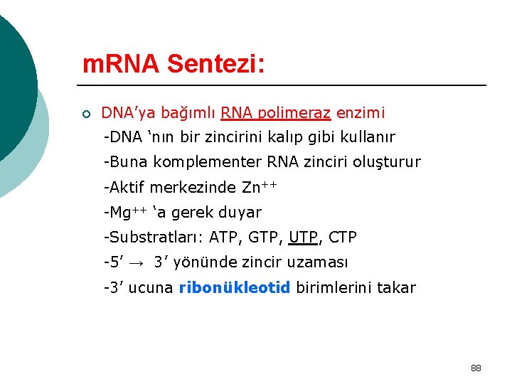 m. RNA Sentezi: ¡ DNA’ya bağımlı RNA polimeraz enzimi -DNA ‘nın bir zincirini kalıp